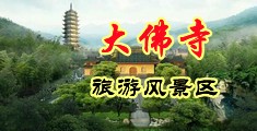 免费的一级黄色录像是最黄最骚最日逼日逼最精彩中国浙江-新昌大佛寺旅游风景区